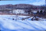 Winter scene